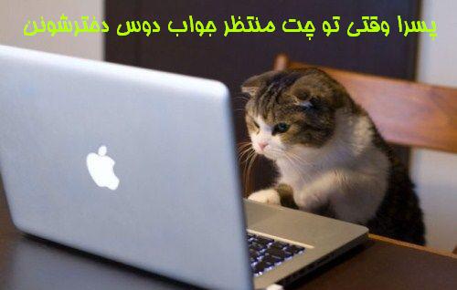 [تصویر: 18_1516894947450777129763.jpg]