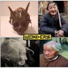 422128385_39174.jpg