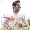 Ali-Poursaeb.jpg