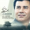 Jamshid.jpg