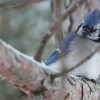 Life-of-Pix-free-stoc ... .jpg