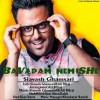 Siavash-Ghamsari-Bava ... .jpg